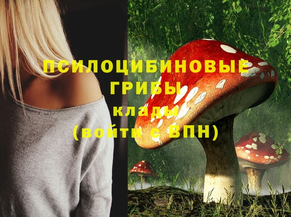 MESCALINE Иннополис
