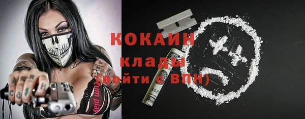 индика Инсар
