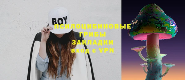 индика Инсар