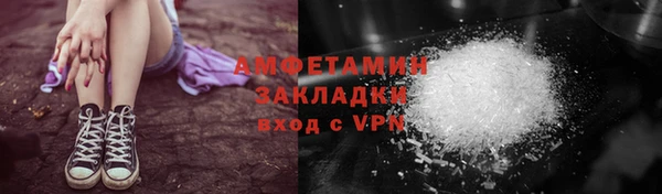 индика Инсар