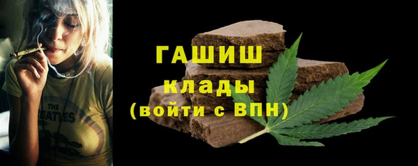 индика Инсар