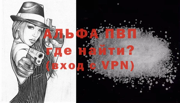 индика Инсар