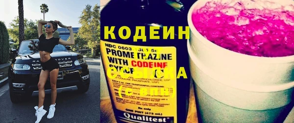 индика Инсар