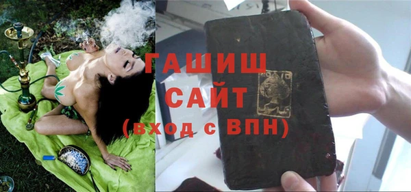 индика Инсар