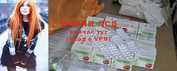 индика Инсар