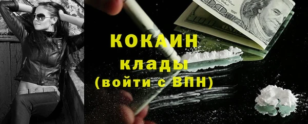 индика Инсар