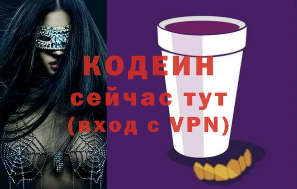 индика Инсар