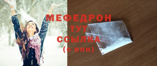 индика Инсар