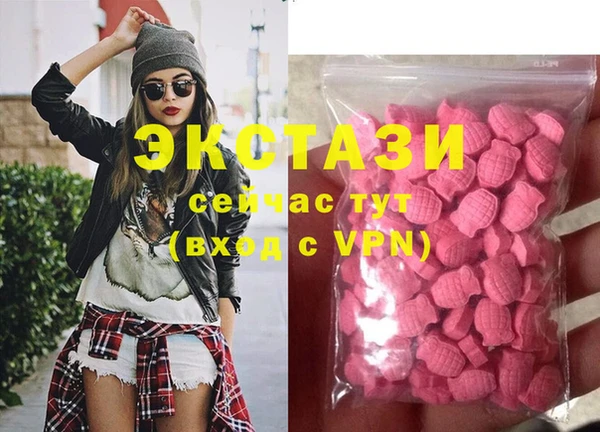 индика Инсар