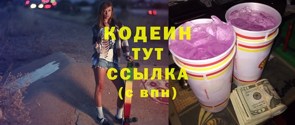индика Инсар