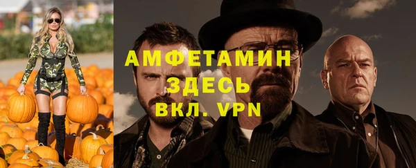 индика Инсар