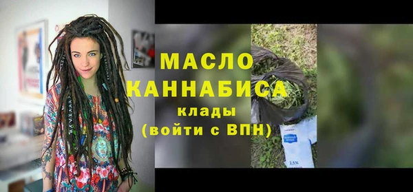 индика Инсар