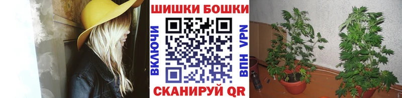 Купить где  Голицыно  Конопля Amnesia 